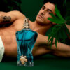 le beau edt